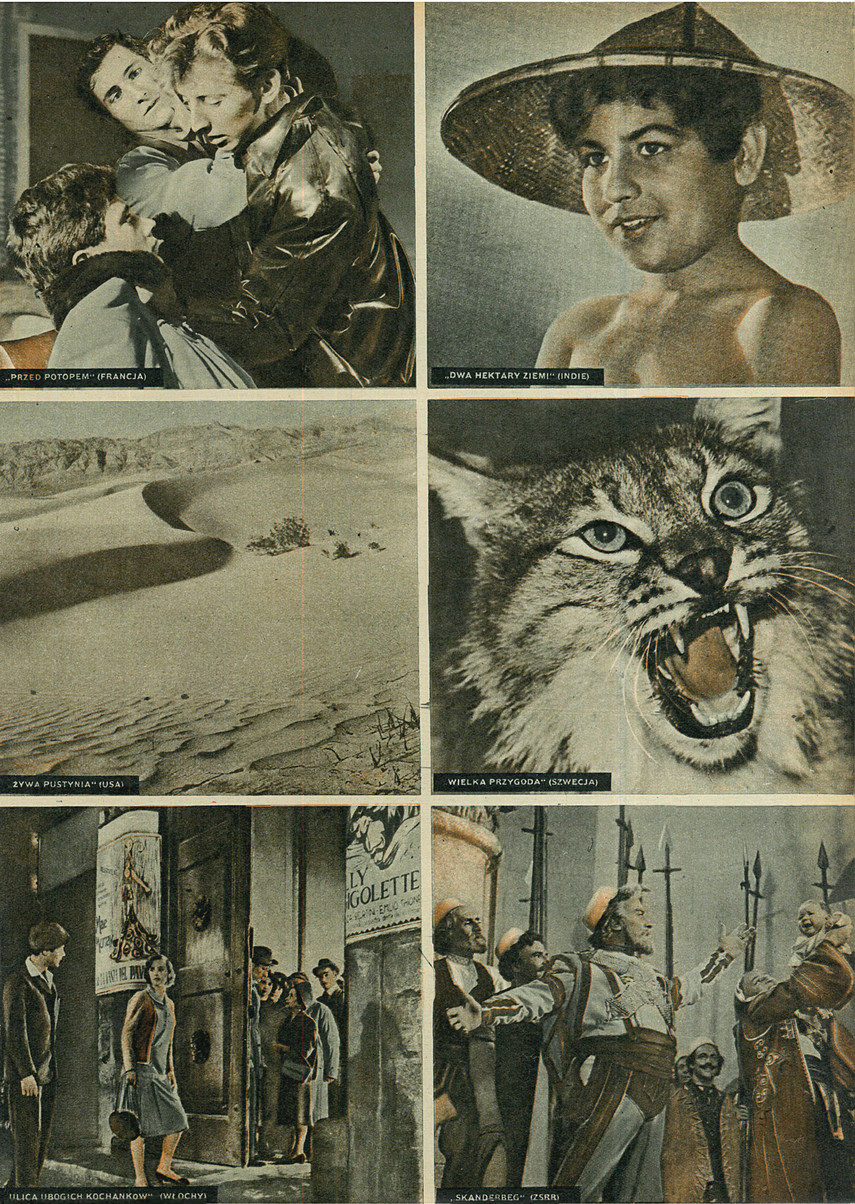 FILM: 17/1954 (282), strona 9