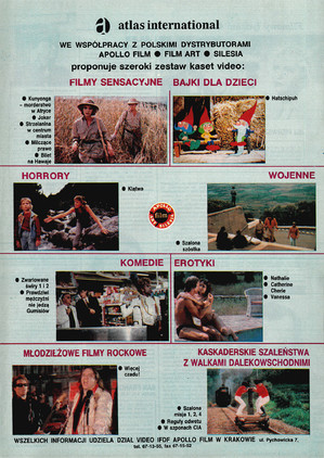 FILM: 43/1991 (2206), strona 19