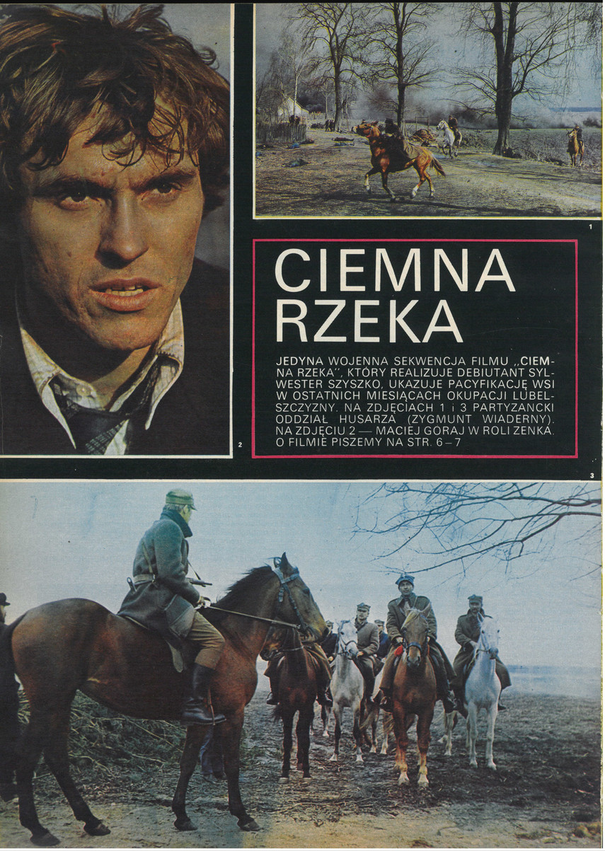 FILM: 17/1973 (1273), strona 20