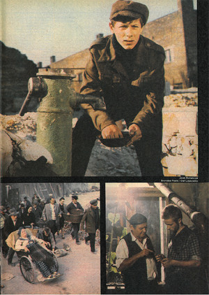 FILM: 37/1986 (1941), strona 19