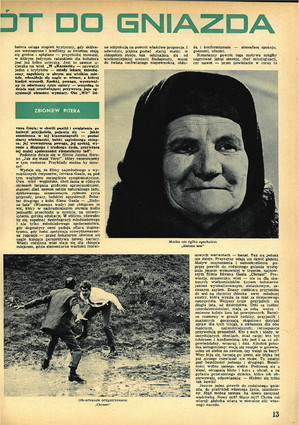 FILM: 14/1968 (1009), strona 13