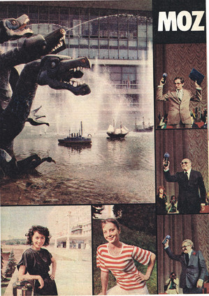 FILM: 38/1979 (1607), strona 18