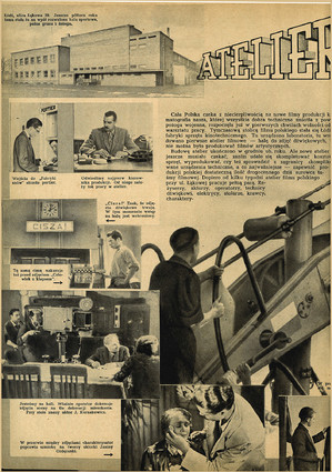 FILM: 1/1946 (1), strona 8