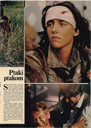 FILM: 2/1977 (1466), strona 19