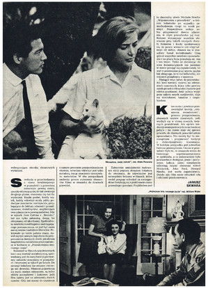 FILM: 40/1978 (1556), strona 17