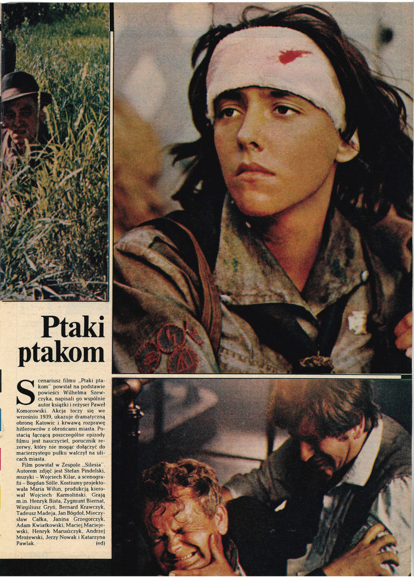 FILM: 2/1977 (1466), strona 19