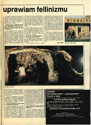 FILM: 34/1987 (1990), strona 19