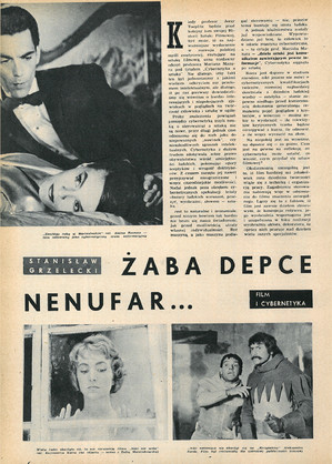 FILM: 40/1962 (722), strona 6