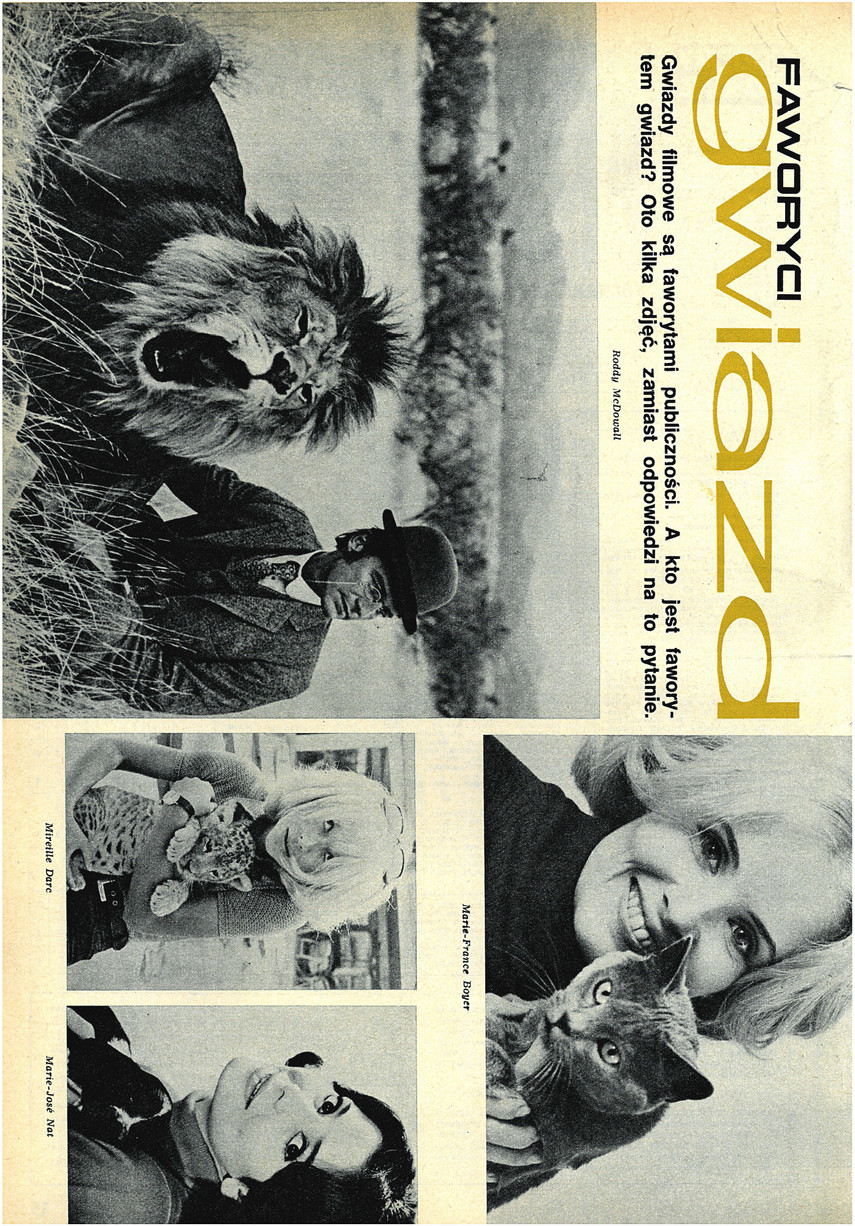 FILM: 20/1972 (1223), strona 16