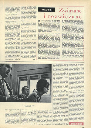 FILM: 17/1964 (803), strona 13
