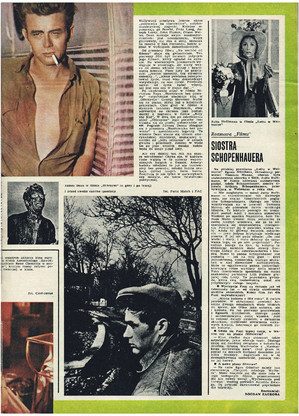 FILM: 46/1975 (1406), strona 13