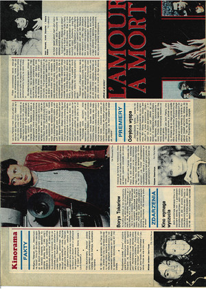 FILM: 53/1984 (1852), strona 24