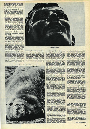 FILM: 26/1972 (1229), strona 7