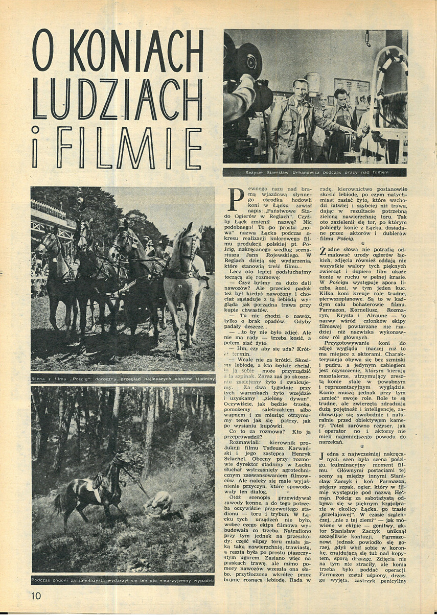 FILM: 31/1954 (296), strona 10