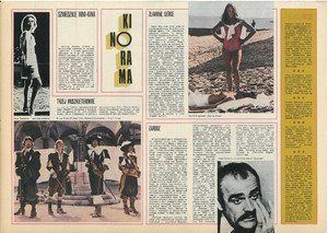 FILM: 33/1973 (1289), strona 20