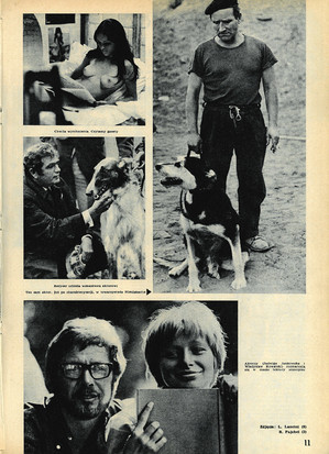 FILM: 40/1971 (1191), strona 11