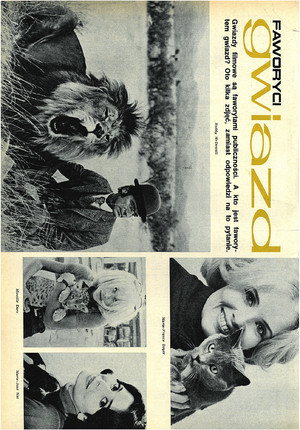 FILM: 20/1972 (1223), strona 16