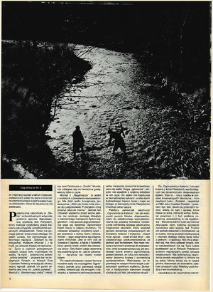FILM: 8/1980 (1629), strona 4