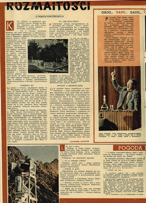 FILM: 40/1952 (201), strona 8