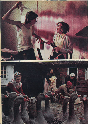 FILM: 42/1973 (1298), strona 14