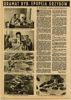 FILM: 22/1947 (22), strona 6