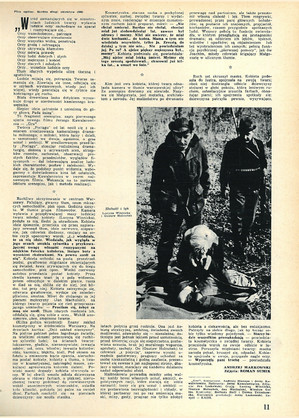 FILM: 22/1968 (1017), strona 11