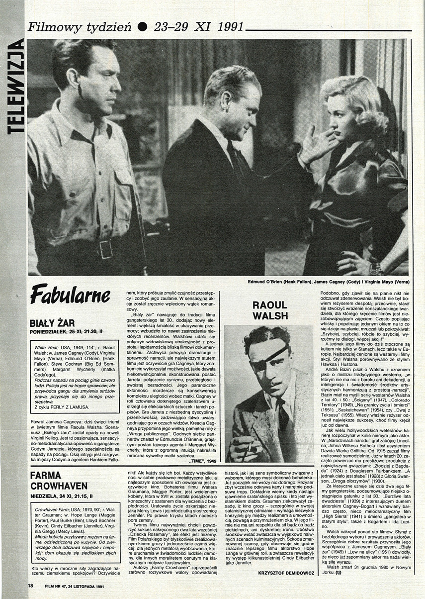 FILM: 47/1991 (2210), strona 18