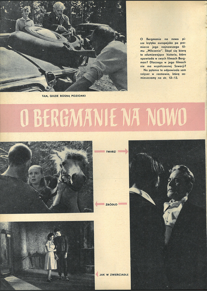 FILM: 14/1964 (800), strona 16