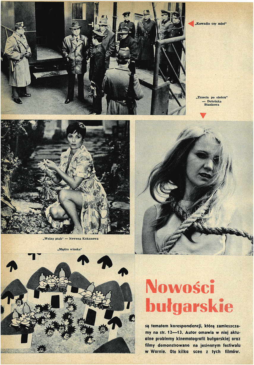 FILM: 42/1972 (1245), strona 16