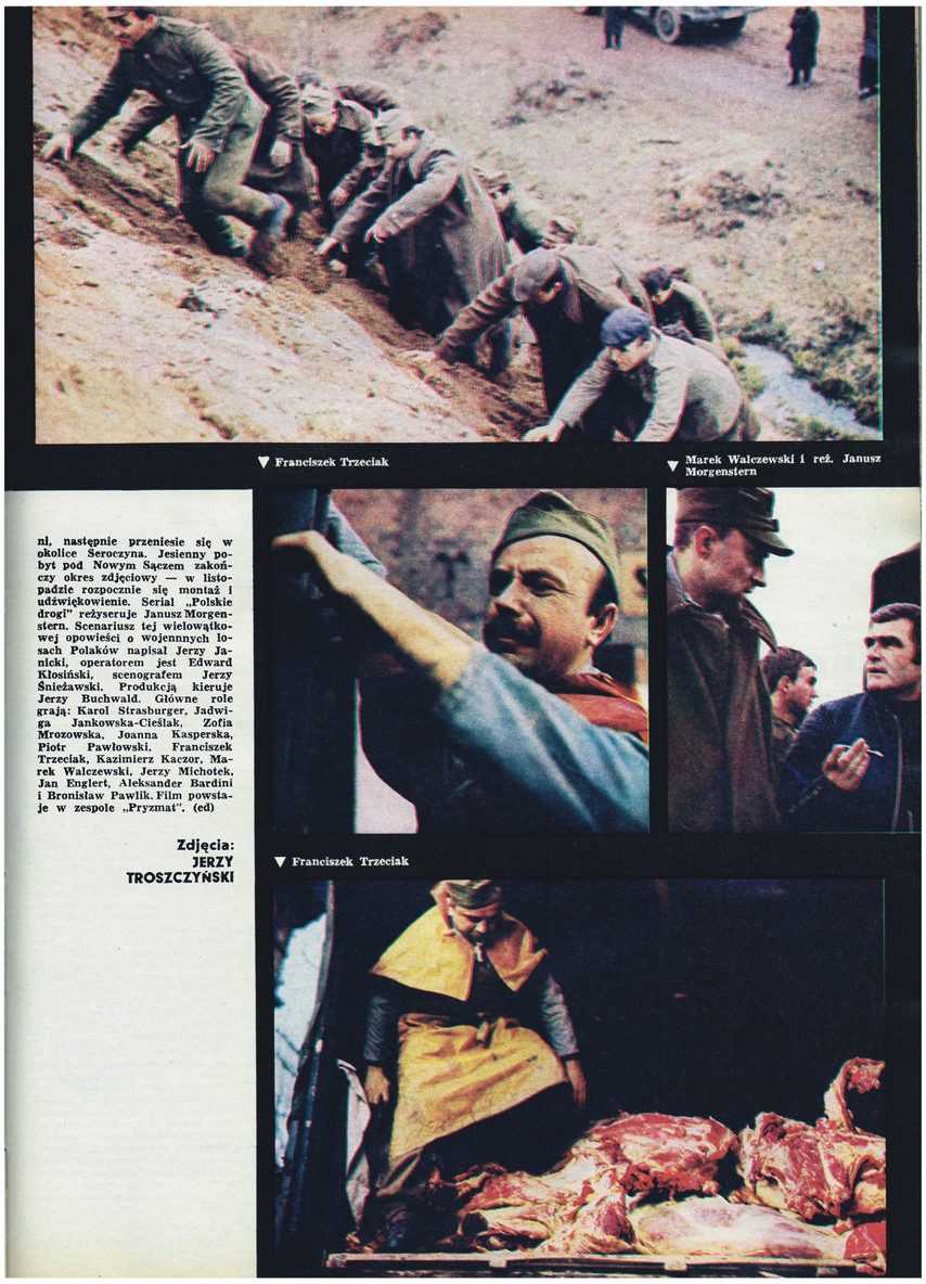 FILM: 31/1975 (1391), strona 19