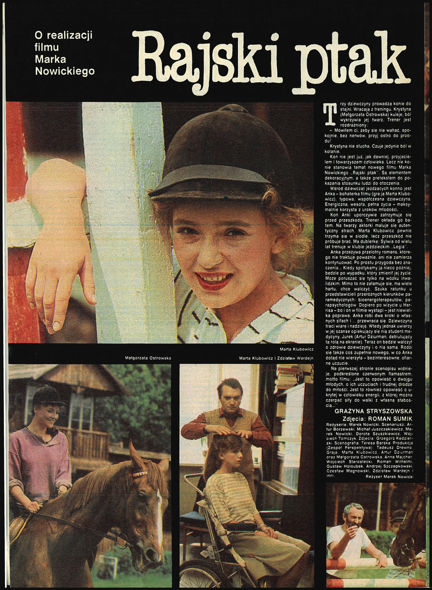FILM: 39/1987 (1995), strona 6